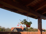 Casa pe structura de lemn 6