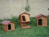 Produse din lemn pentru amenajari exterioare - cusca pentru caine 2